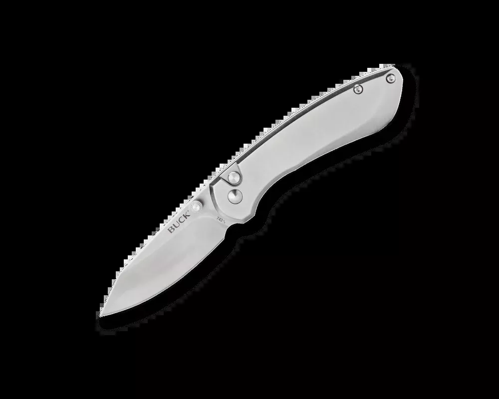 Buck 743 Mini Sovereign - Stainless Steel Handle - 7CR Clip Point - 13810